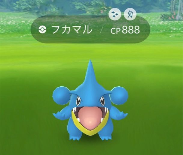 Go 違い ポケモン フカマル 色